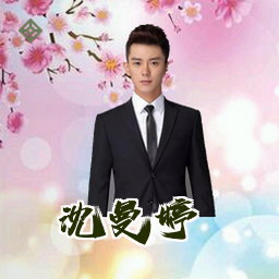 沈曼婷